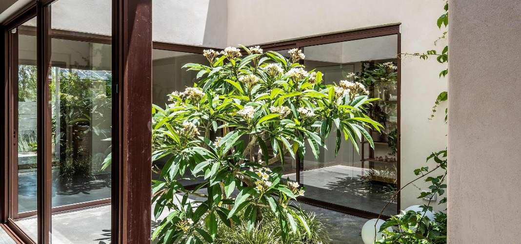 בית הפטיו בשרון דלתות ויטרינה הזזה יציאה לחצר פנימית קליל בייסיק 9000 מורן פרי אוקון