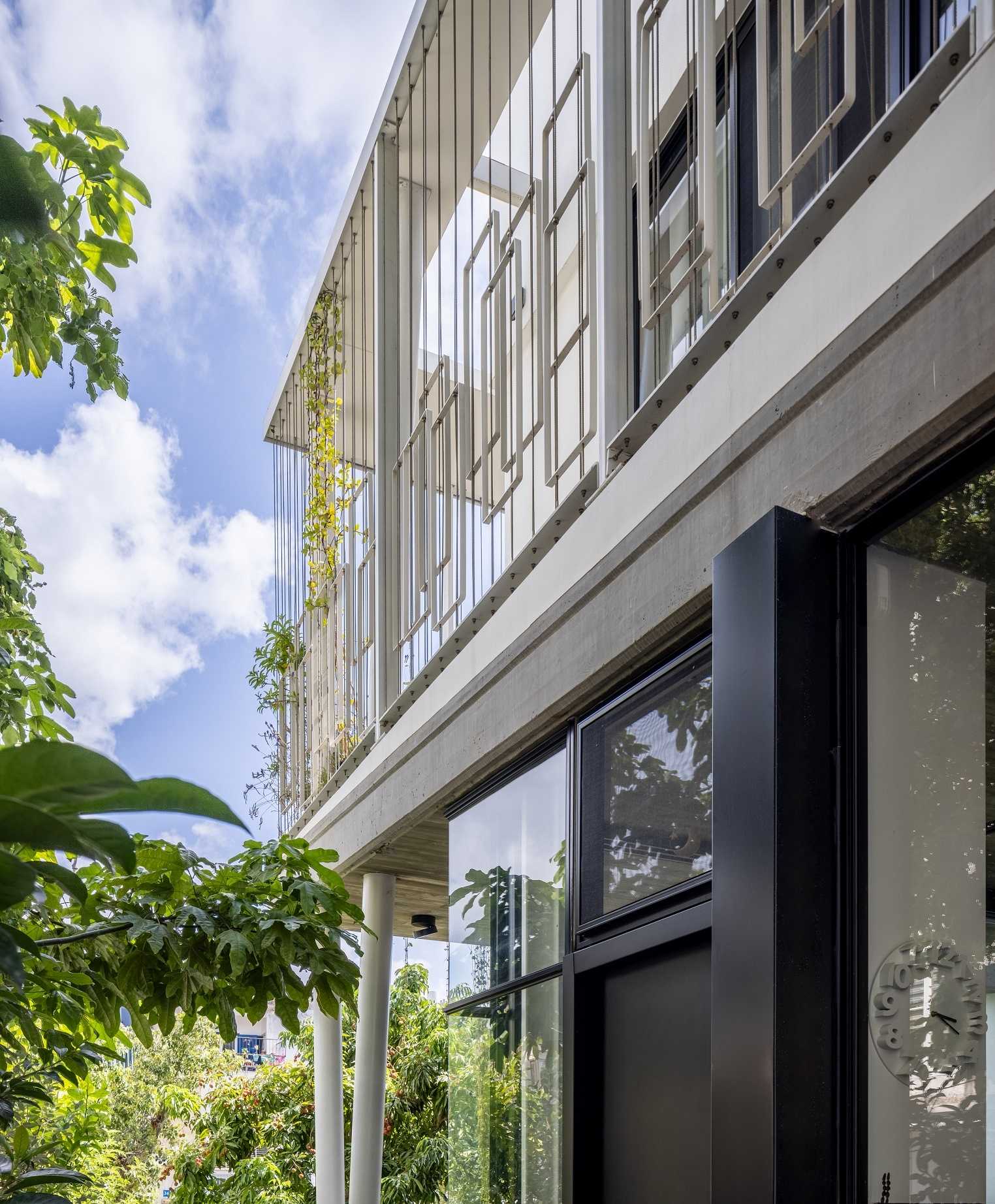 באוהאוס FINE קליל מבט מהצד